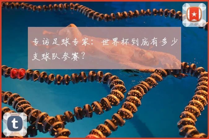 专访足球专家：世界杯到底有多少支球队参赛？