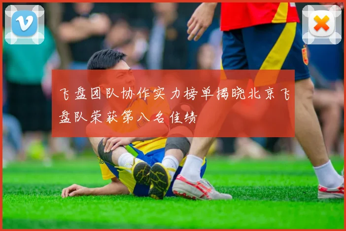 飞盘团队协作实力榜单揭晓北京飞盘队荣获第八名佳绩