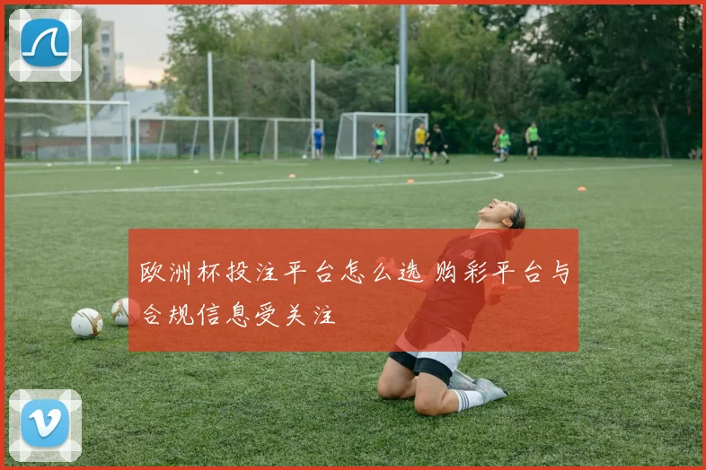 欧洲杯投注平台怎么选 购彩平台与合规信息受关注