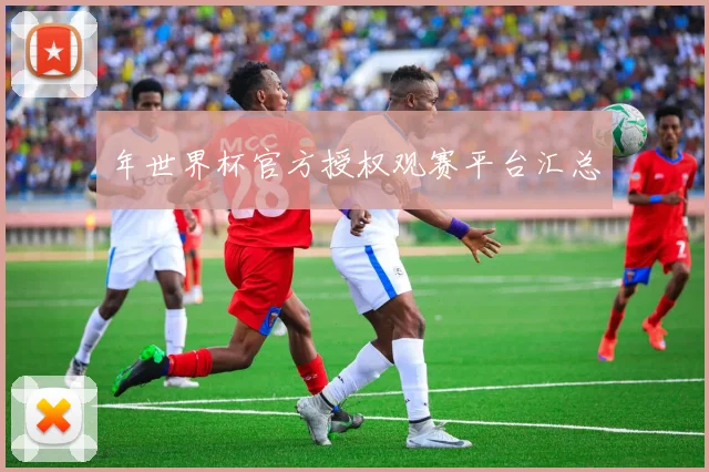 年世界杯官方授权观赛平台汇总