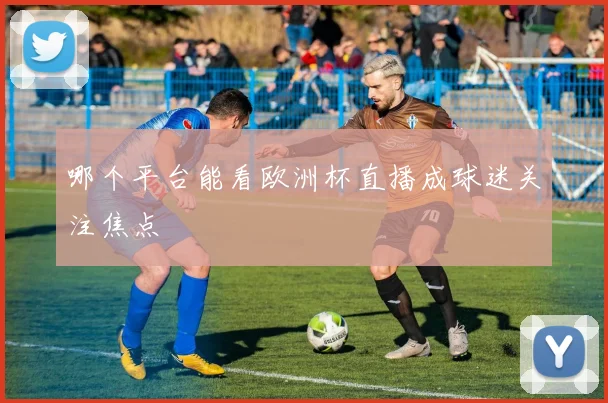 哪个平台能看欧洲杯直播成球迷关注焦点