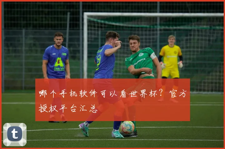 哪个手机软件可以看世界杯？官方授权平台汇总