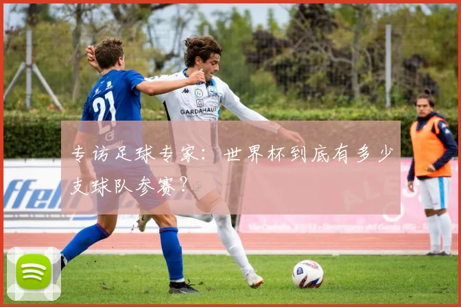 专访足球专家：世界杯到底有多少支球队参赛？