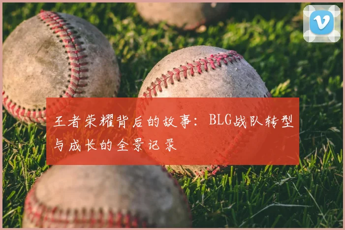 王者荣耀背后的故事:BLG战队转型与成长的全景记录