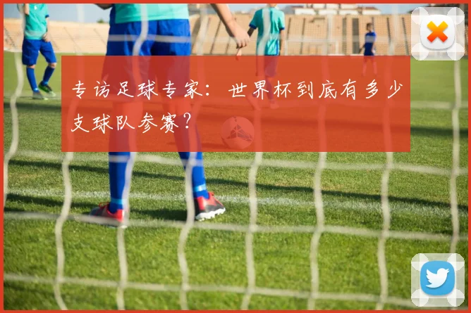 专访足球专家：世界杯到底有多少支球队参赛？
