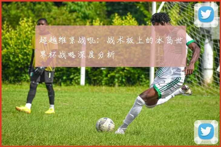 超越维京战吼：战术板上的冰岛世界杯战略深度分析