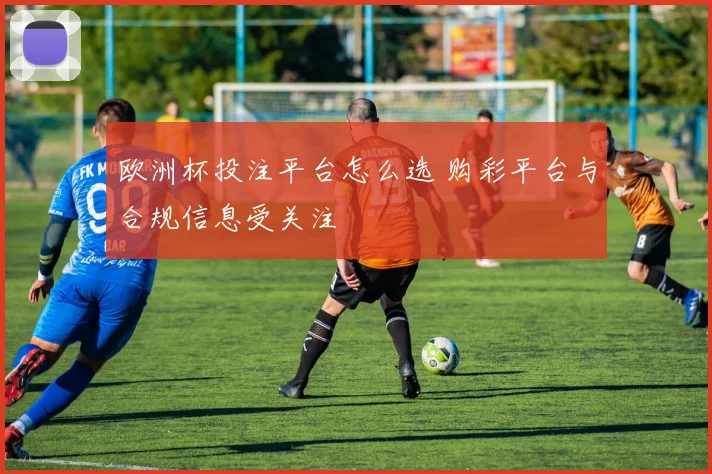 欧洲杯投注平台怎么选 购彩平台与合规信息受关注