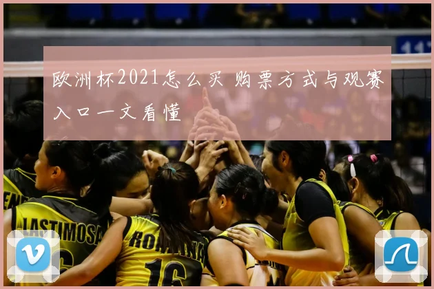 欧洲杯2021怎么买 购票方式与观赛入口一文看懂