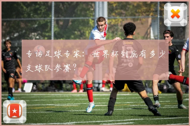 专访足球专家：世界杯到底有多少支球队参赛？
